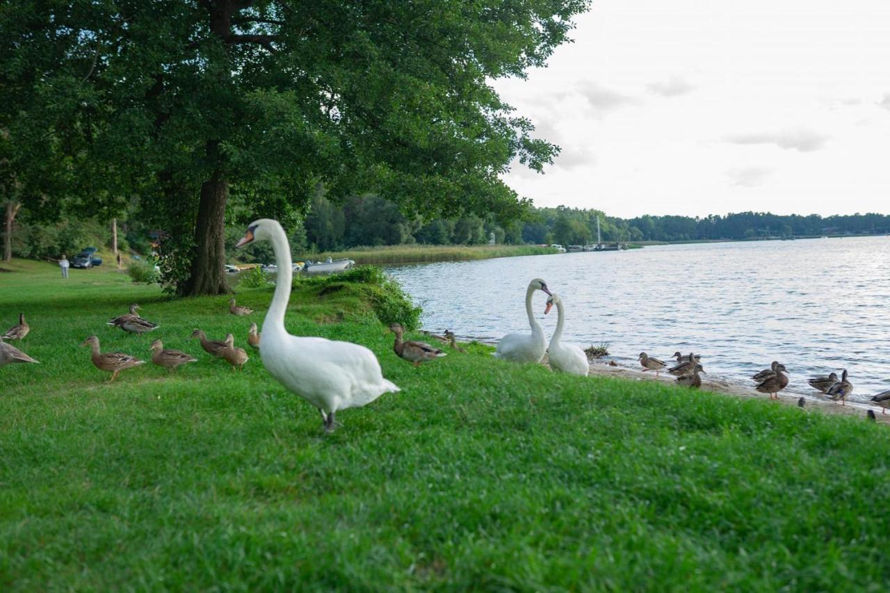 Apartament Augustow Swan Luaran gambar